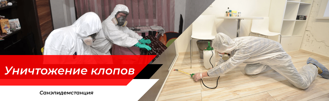 Уничтожение клопов Луховицы